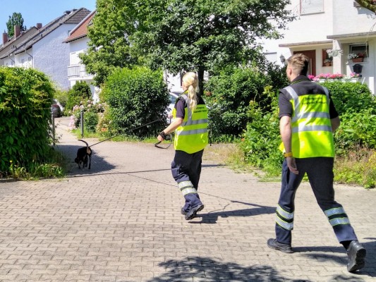 210613Julia-mit-Luzie-und-Felix-Trail-FotoRHSFrankfurt