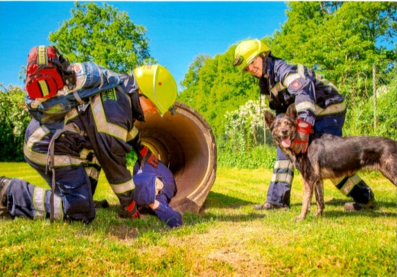 Toni-Alex-und-Akela-und-Steffi